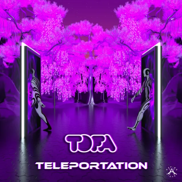 Teleportation