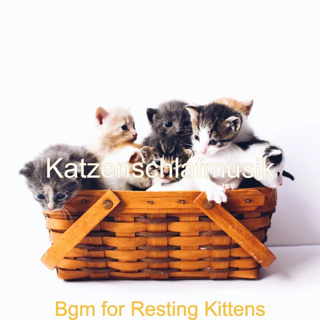 Bgm for Resting Kittens