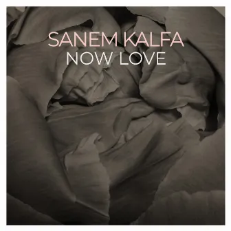 Now Love by Sanem Kalfa