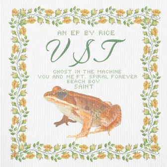 VST by rice