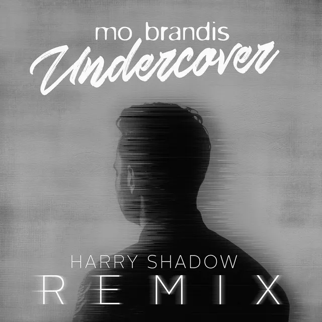 Undercover - Harry Shadow Remix