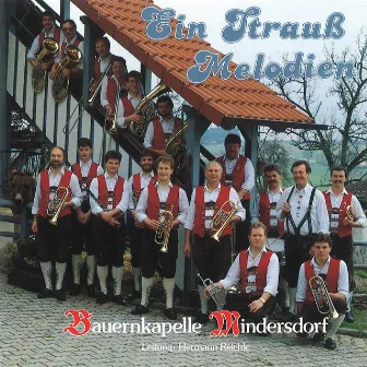 Ein Strauss Melodien by Bauernkapelle Mindersdorf