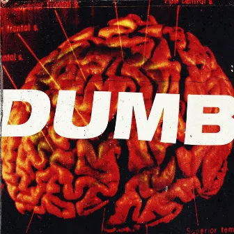 Dumb by Harv