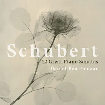 Schubert: 12 Great Piano Sonatas by Daniel-Ben Pienaar