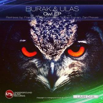 Owl by Burak & Ulas