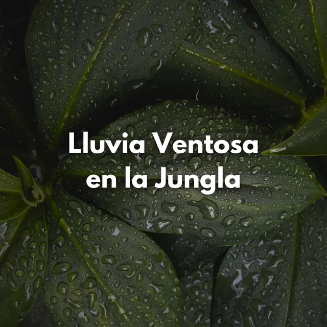 Lluvia Ventosa En La Jungla