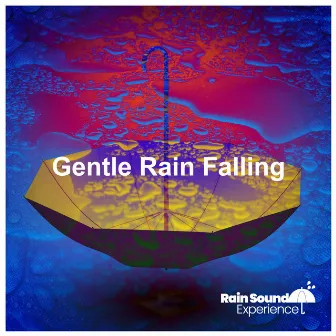 Gentle Rain Falling by Rain Sound Experience