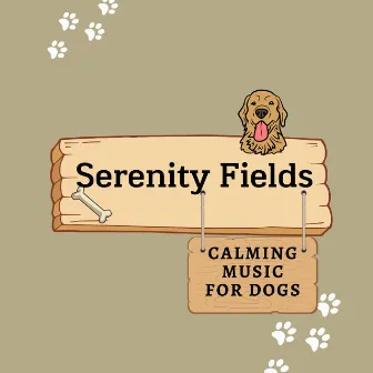 Serenity Fields: Calming Music for Dogs by Ambient Solle