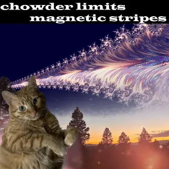 magnetic stripes (with instrumental) by Chowder Limits