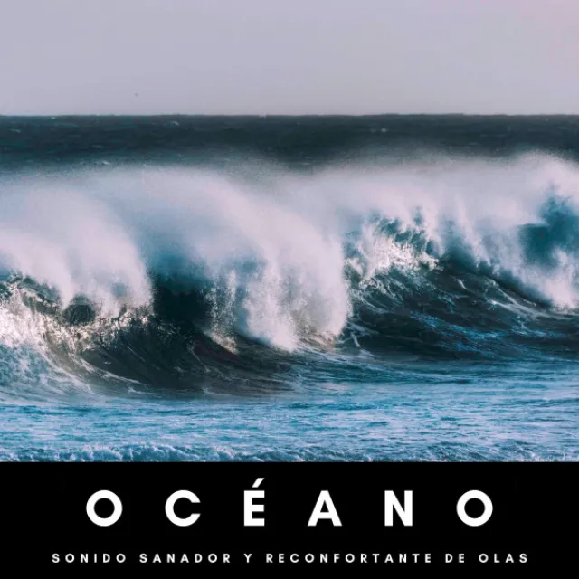 Océano: Sonido Sanador Y Reconfortante De Olas