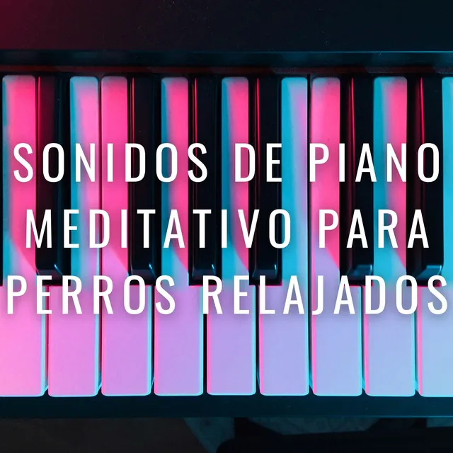 Armonía De Ladridos: Sonidos De Piano Meditativo Para Perros Relajados