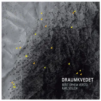 Draumkvedet by Berit Opheim