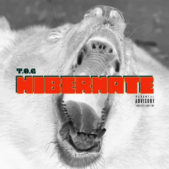 Hibernate by T.O.G