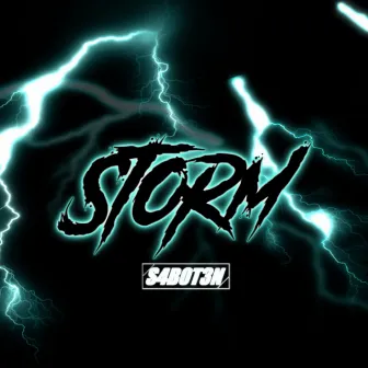 Storm by Saboten