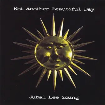 Not Another Beautiful Day by Jubal Lee Young