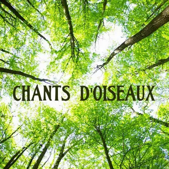 Chants d'oiseaux by Musique Douce Ensemble Master