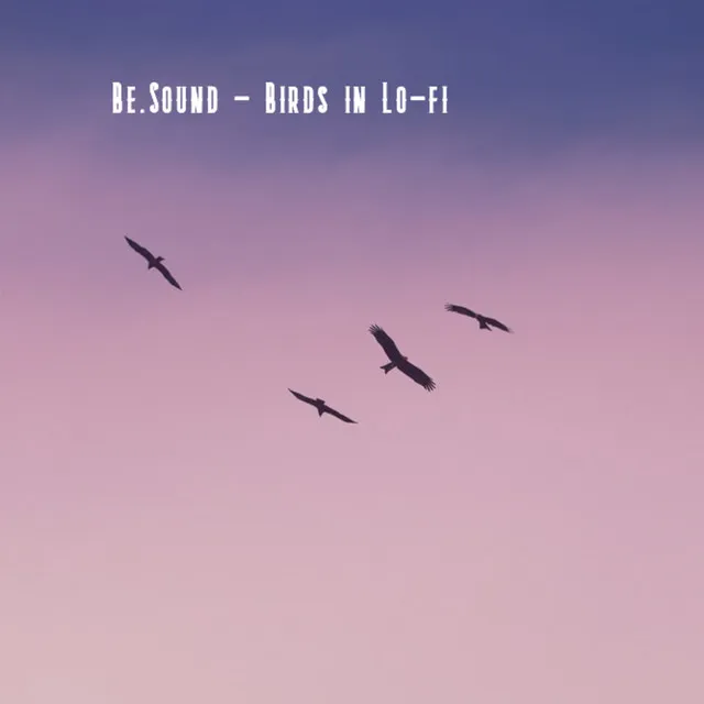 Birds in Lo-fi