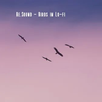 Birds in Lo-fi by Be.Sound