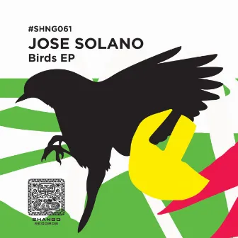 Birds by Jose Solano