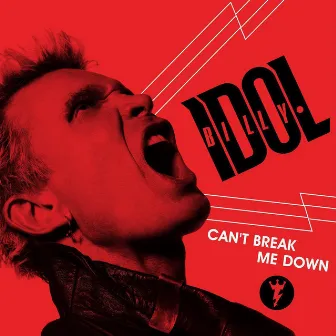 Can't Break Me Down by Billy Idol