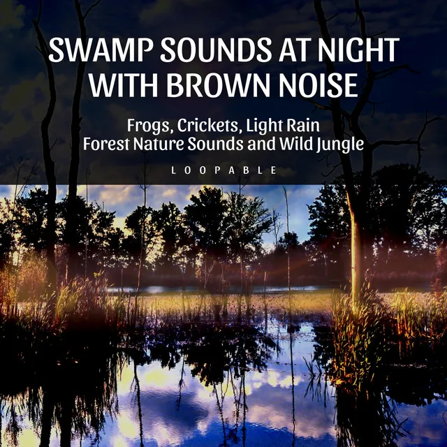 Brown Noise, Crickets at Night at the Cottage (Loopable)