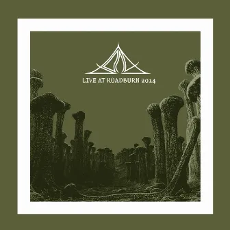 Live at Roadburn 2014 by Unknown Artist