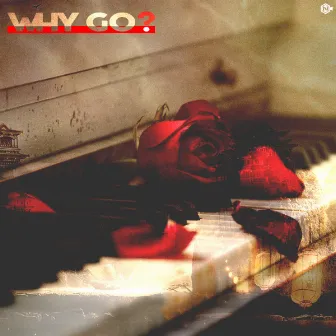 Why Go? (feat. Arlette) by 