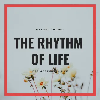 The Rhythm Of Life - Nature Sounds For Stressful Life by Anxiety and Stress Reduction Project