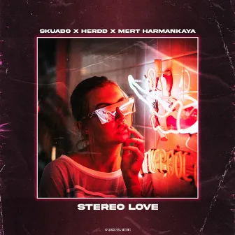 Stereo Love by HERDD