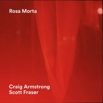 Rosa Morta by Scott Fraser