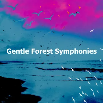 Gentle Forest Symphonies by Bird Recordings