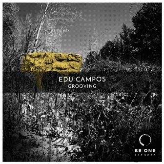 Grooving by Edu Campos