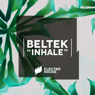 Inhale by Beltek