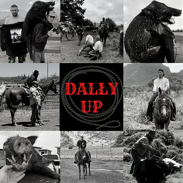 Dally Up