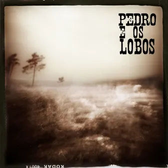 Pedro e Os Lobos by Pedro e Os Lobos