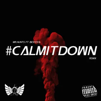 Calm It Down (Remix) by Unknown Artist