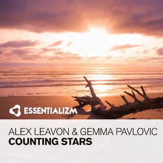 Counting Stars by Alex Leavon