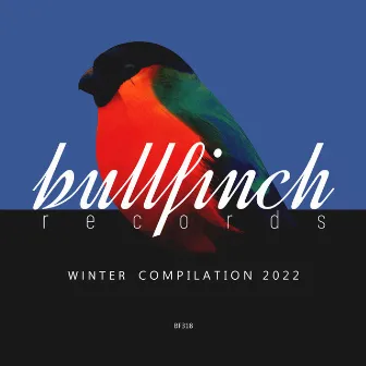 Bullfinch Winter 2022 Compilation by Piur