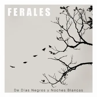 De Días Negros y Noches Blancas (Versión Sencillo) by Ferales