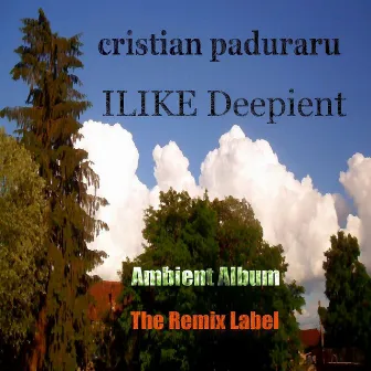 Ilike Deepient (Ambient Album) by Unknown Artist