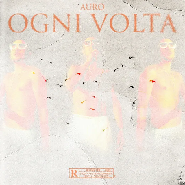 OGNI VOLTA