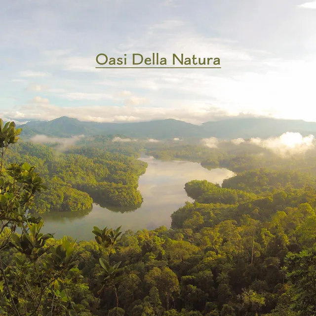 Oasi Della Natura: Musica New Age 2019 per Rilassamento, Sonno e Riposo