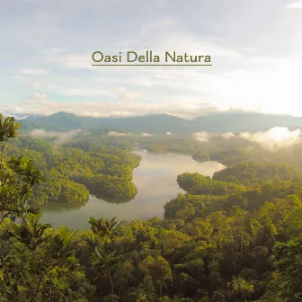 Oasi Della Natura: Musica New Age 2019 per Rilassamento, Sonno e Riposo by Natura Rilassante Suoni Collezione