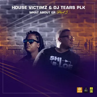 What About Part 3 by House Victimz