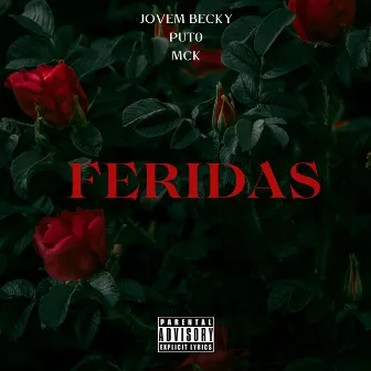 Feridas by put0