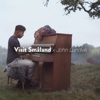 Smålandssången (Radio Edit) by John Lundvik