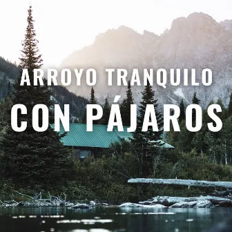 Arroyo Tranquilo Con Pájaros by Pájaros en la mañana