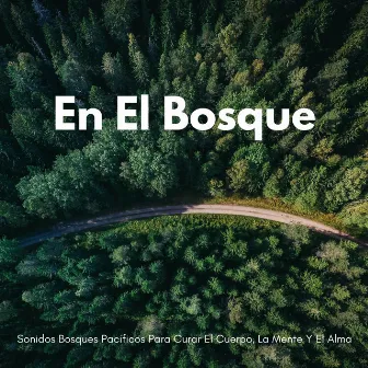 En El Bosque: Sonidos Bosques Pacíficos Para Curar El Cuerpo, La Mente Y El Alma by Música para masajes: flauta nativa americana