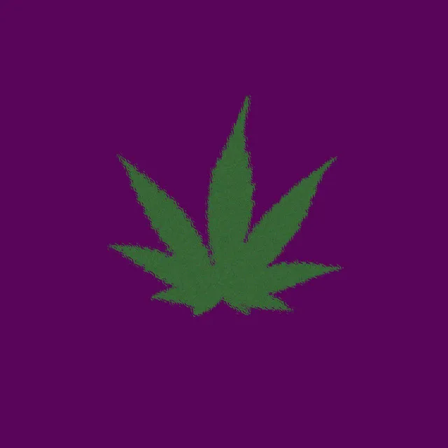 Marijuana Plant