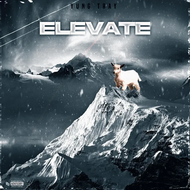 Elevate